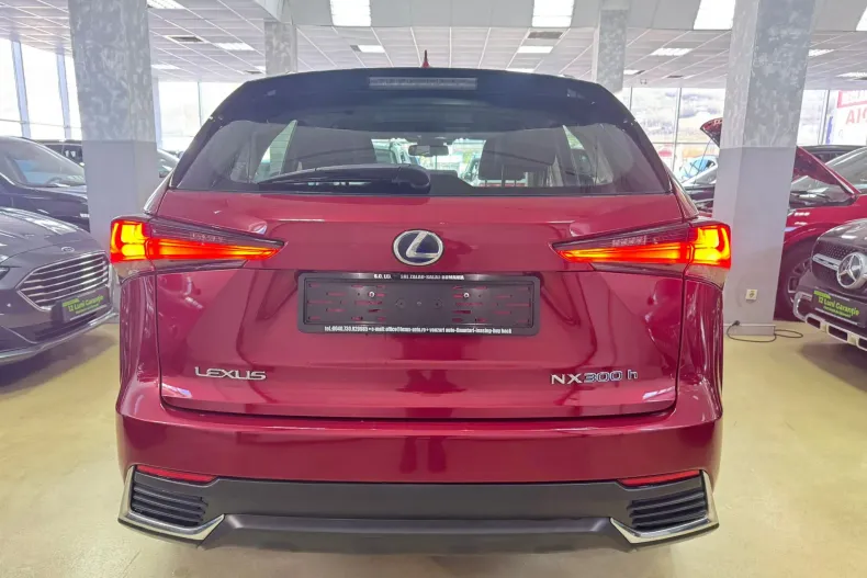 Lexus Seria NX din 2020 cu 133.000 km - oferta LEX153696 - foto 9