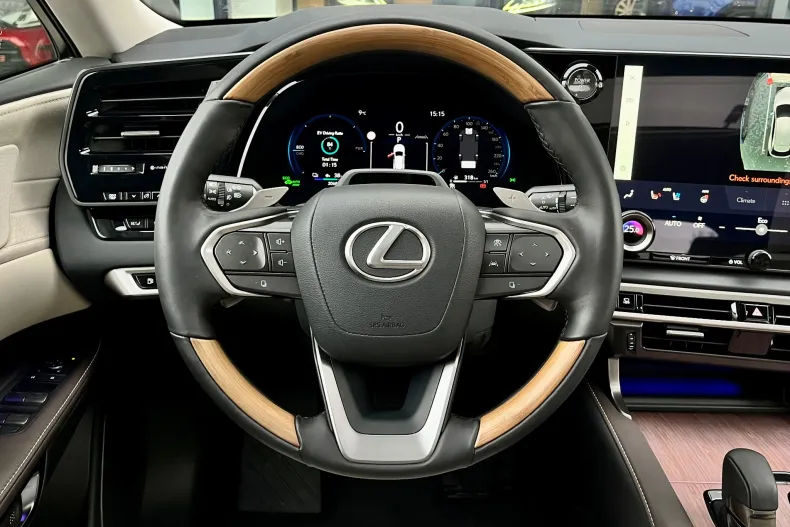 Lexus Seria RX din 2025 cu 3.000 km - oferta LEX153893 - foto 28