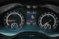 Skoda Kodiaq din 2019 cu 178.404 km - oferta SKO154043 - foto 13