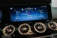 Mercedes-Benz AMG GT din 2024 cu 7.189 km - oferta MER155192 - foto 10