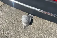 Volkswagen Tiguan Allspace din 2022 cu 49.569 km - oferta VOL155214 - foto 18