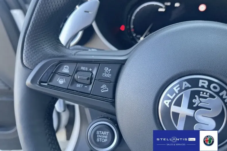 Alfa Romeo Stelvio din 2024 cu 23.110 km - oferta ALF156319 - foto 16