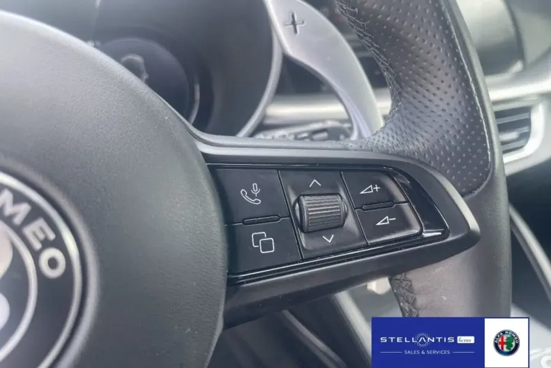 Alfa Romeo Stelvio din 2024 cu 48.620 km - oferta ALF156320 - foto 17