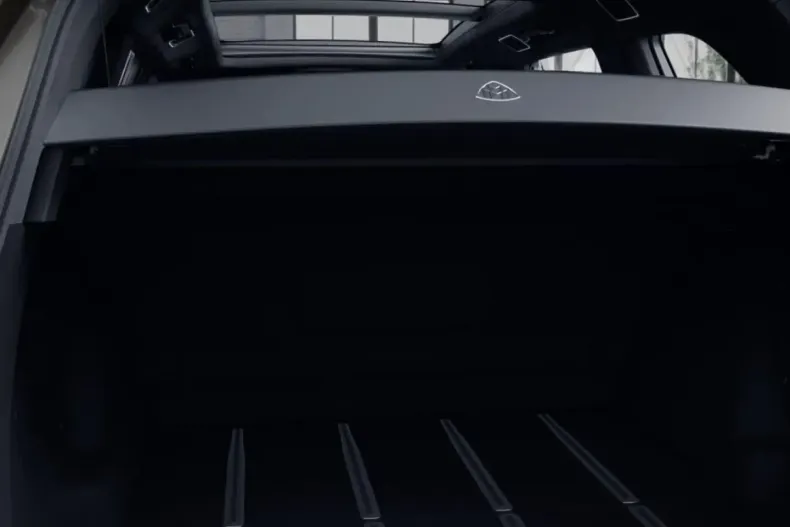 Mercedes-Benz GLS 600 din 2023 cu 29.990 km - oferta MER156961 - foto 10