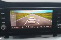 Skoda Octavia din 2020 cu 142.830 km - oferta SKO158235 - foto 15