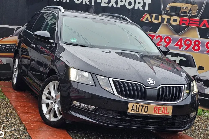 Skoda Octavia din 2020 cu 172.160 km - oferta SKO158332 - foto 16