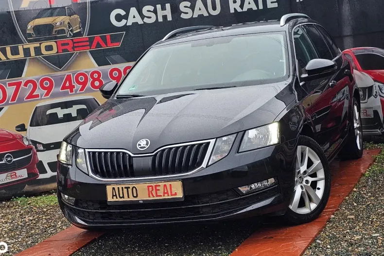 Skoda Octavia din 2020 cu 172.160 km - oferta SKO158332 - foto 17
