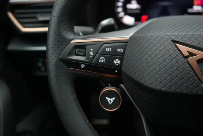 Cupra Formentor din 2025 cu 11.000 km - oferta CUP158891 - foto 14