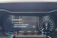 Ford Mustang din 2022 cu 19.922 km - oferta FOR159259 - foto 21