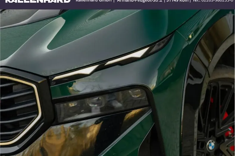 BMW XM din 2023 cu 68.795 km - oferta BMW159866 - foto 8