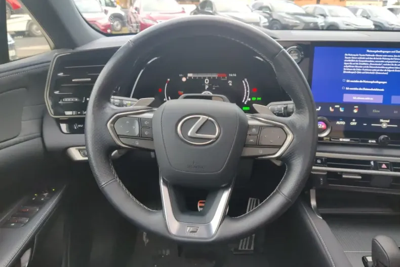 Lexus RX 500 din 2024 cu 30.600 km - oferta LEX159922 - foto 11