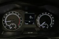 Skoda Scala din 2020 cu 143.987 km - oferta SKO159994 - foto 24