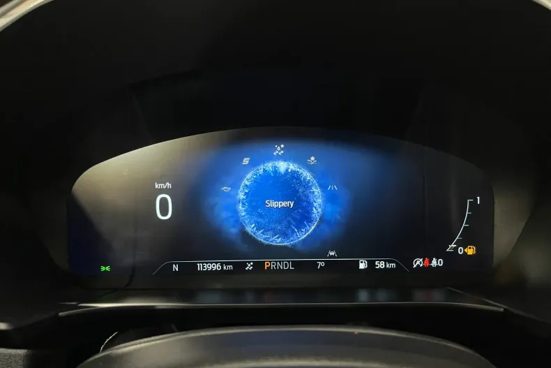 Ford Kuga din 2022 cu 113.996 km - oferta FOR159998 - foto 27