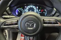 Mazda MX-30 din 2023 cu 4.990 km - oferta MAZ160019 - foto 10