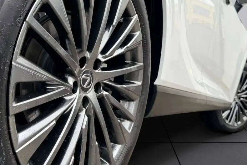 Lexus Seria RX din 2023 cu 46.852 km - oferta LEX160459 - foto 13