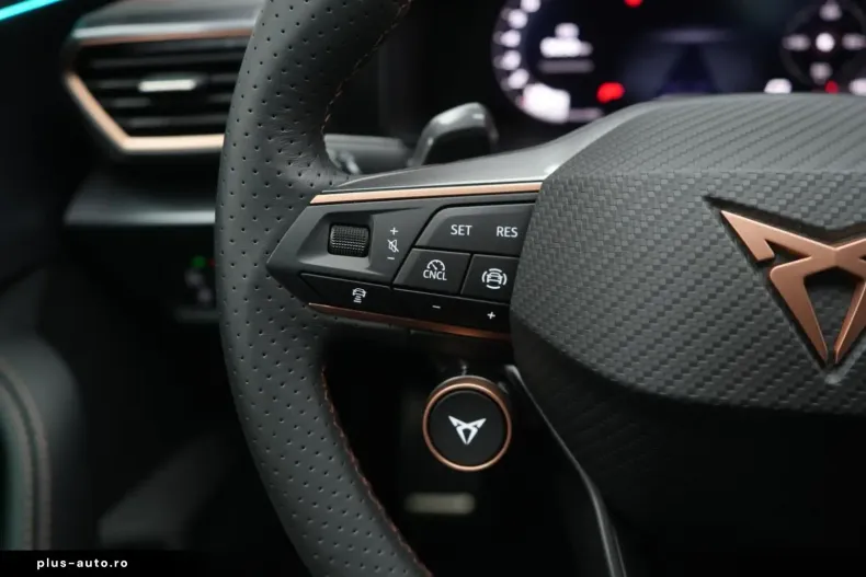 Cupra Formentor din 2025 cu 10.000 km - oferta CUP160949 - foto 14