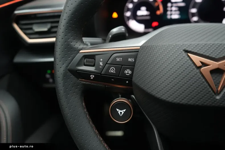 Cupra Formentor din 2025 cu 9.000 km - oferta CUP160950 - foto 13