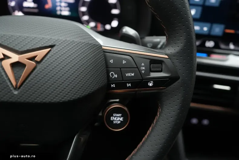 Cupra Formentor din 2025 cu 9.000 km - oferta CUP160950 - foto 14