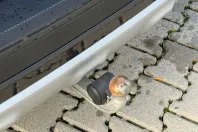 BMW X3 din 2021 cu 70.500 km - oferta BMW162133 - foto 6