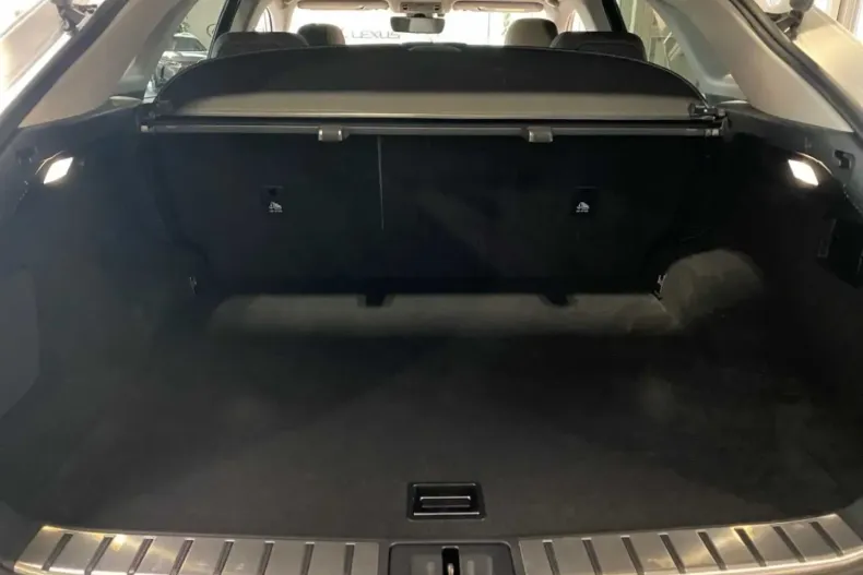 Lexus RX 450 din 2021 cu 99.990 km - oferta LEX162355 - foto 9