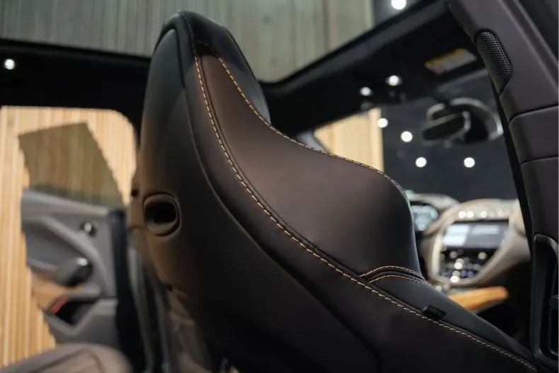 Aston Martin DBX din 2023 cu 26.335 km - oferta AST162397 - foto 37