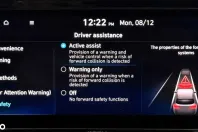 Hyundai SANTA FE din 2021 cu 115.000 km - oferta HYU162710 - foto 38