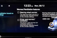 Hyundai SANTA FE din 2021 cu 115.000 km - oferta HYU162710 - foto 39