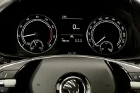 Skoda Kamiq din 2023 cu 109.122 km - oferta SKO163030 - foto 13