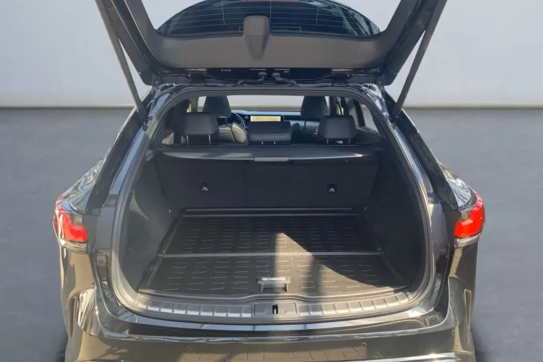 Lexus Seria RX din 2024 cu 85.000 km - oferta LEX163077 - foto 15