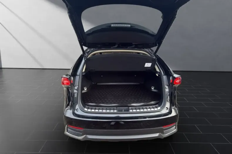 Lexus NX 300 din 2021 cu 23.560 km - oferta LEX163122 - foto 19