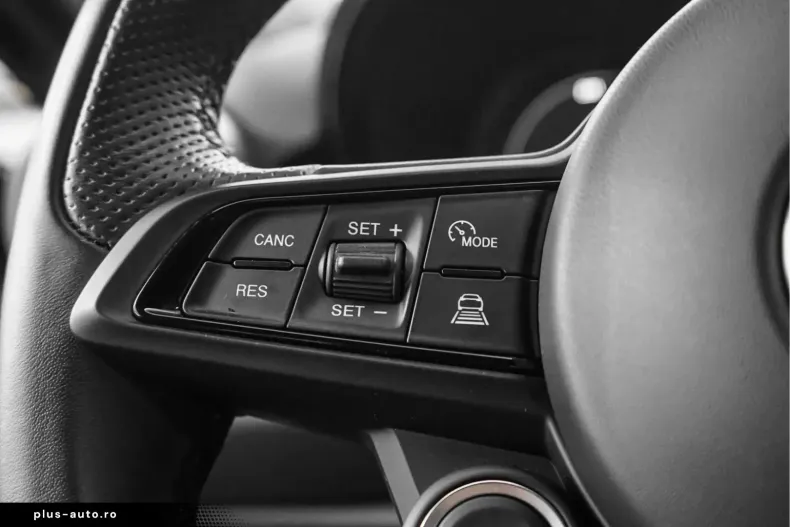 Alfa Romeo Tonale din 2024 cu 25.354 km - oferta ALF163147 - foto 27