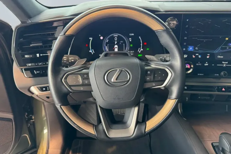 Lexus RX 450 din 2023 cu 49.288 km - oferta LEX163361 - foto 10