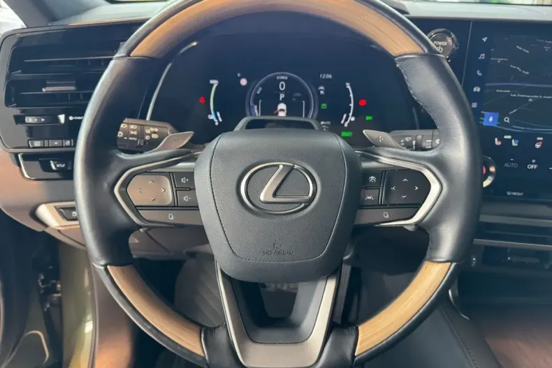 Lexus RX 450 din 2023 cu 49.288 km - oferta LEX163361 - foto 11