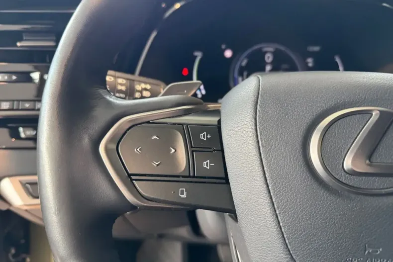 Lexus RX 450 din 2023 cu 49.288 km - oferta LEX163361 - foto 22