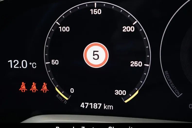 Porsche Taycan din 2021 cu 47.140 km - oferta POR163465 - foto 20