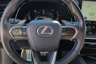 Lexus RX 500 din 2023 cu 47.016 km - oferta LEX163541 - foto 12