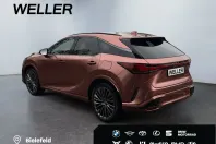 Lexus RX 500 din 2024 cu 38.500 km - oferta LEX163680 - foto 7