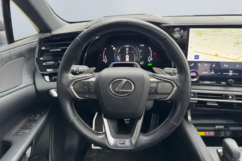 Lexus RX 500 din 2024 cu 38.500 km - oferta LEX163680 - foto 13