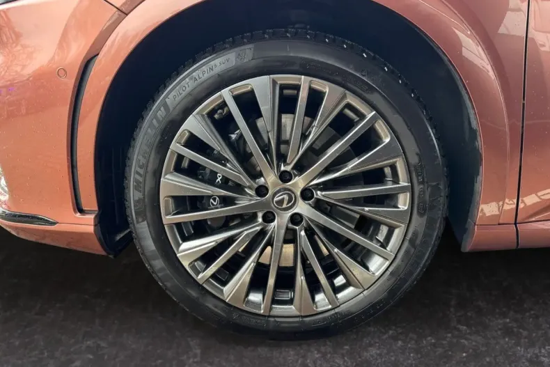 Lexus RX 500 din 2024 cu 38.500 km - oferta LEX163680 - foto 22