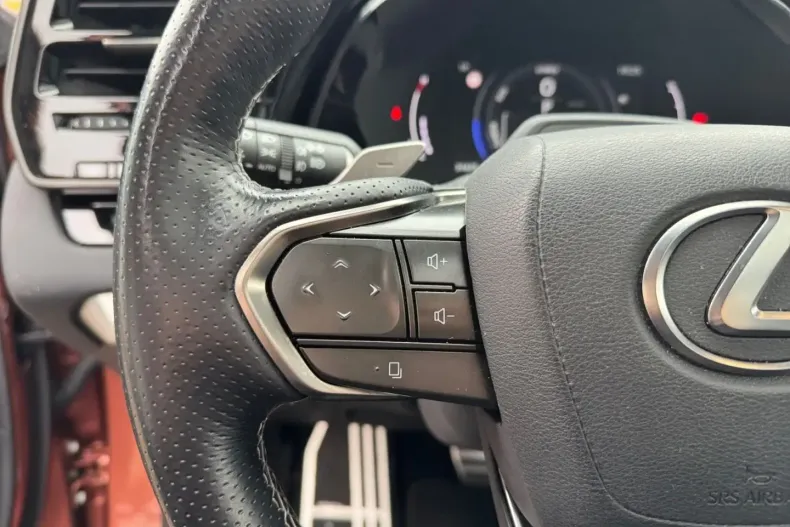 Lexus RX 500 din 2024 cu 38.500 km - oferta LEX163680 - foto 25