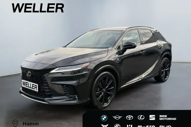 Lexus RX 500 din 2024 cu 30.800 km - oferta LEX163683 - foto 1