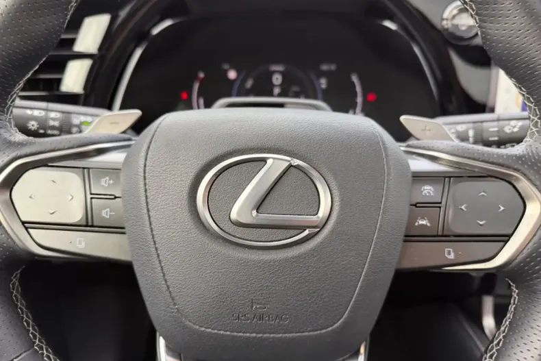 Lexus RX 500 din 2024 cu 30.800 km - oferta LEX163683 - foto 11