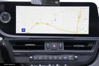 Lexus ES 300 din 2023 cu 2.500 km - oferta LEX163734 - foto 12