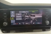 Skoda Octavia din 2021 cu 123.488 km - oferta SKO163953 - foto 18