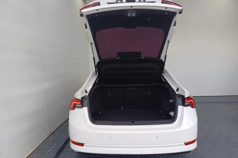 Skoda Octavia din 2021 cu 123.488 km - oferta SKO163953 - foto 31