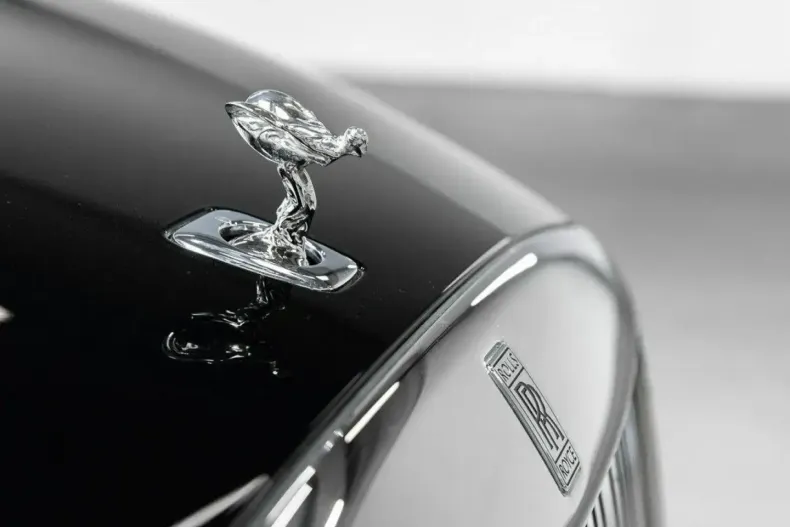 Rolls-Royce Spectre din 2025 cu 4.500 km - oferta ROL164120 - foto 16