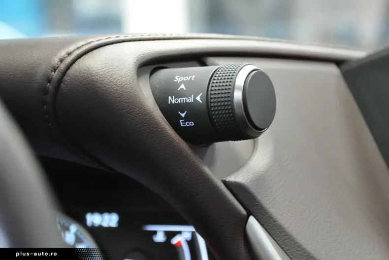 Lexus ES 300 din 2021 cu 55.000 km - oferta LEX164123 - foto 22