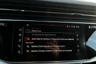 Audi Q8 din 2022 cu 94.980 km - oferta AUD164538 - foto 24