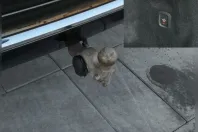 Volvo XC60 din 2022 cu 116.600 km - oferta VOL164740 - foto 38