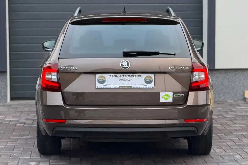 Skoda Octavia din 2019 cu 98.850 km - oferta SKO164765 - foto 5